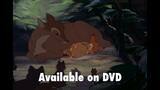 The Fox and the Hound Trailer