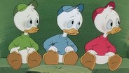 The Masked Mallard