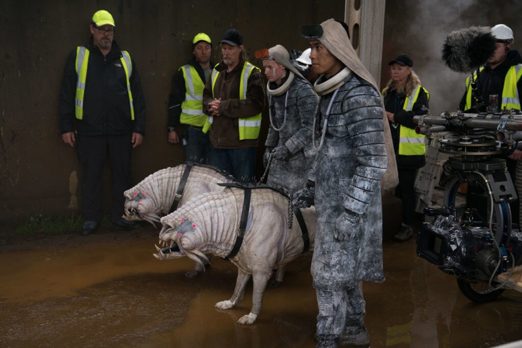 Dogs in costume on the set of Solo: A Star Wars Story.