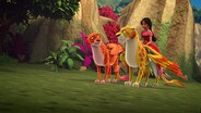 Flight of the Jaquins