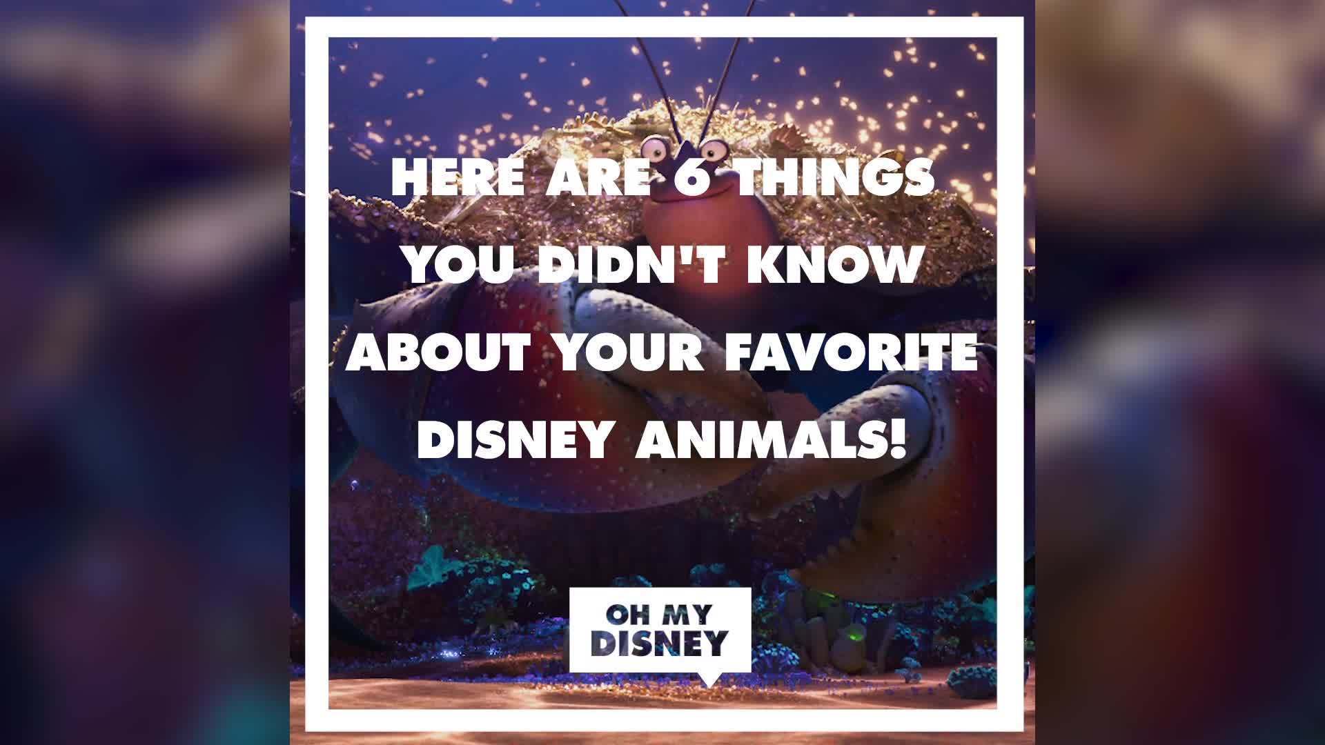 7 Things You Didn't Know About Your Favorite Disney Animals | Oh My Disney