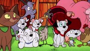 K Is For Kibble