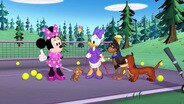 A Walk in the Park