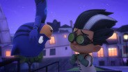 Owlette and the Flash Flip Trip / Catboy and the Pogo Dozer