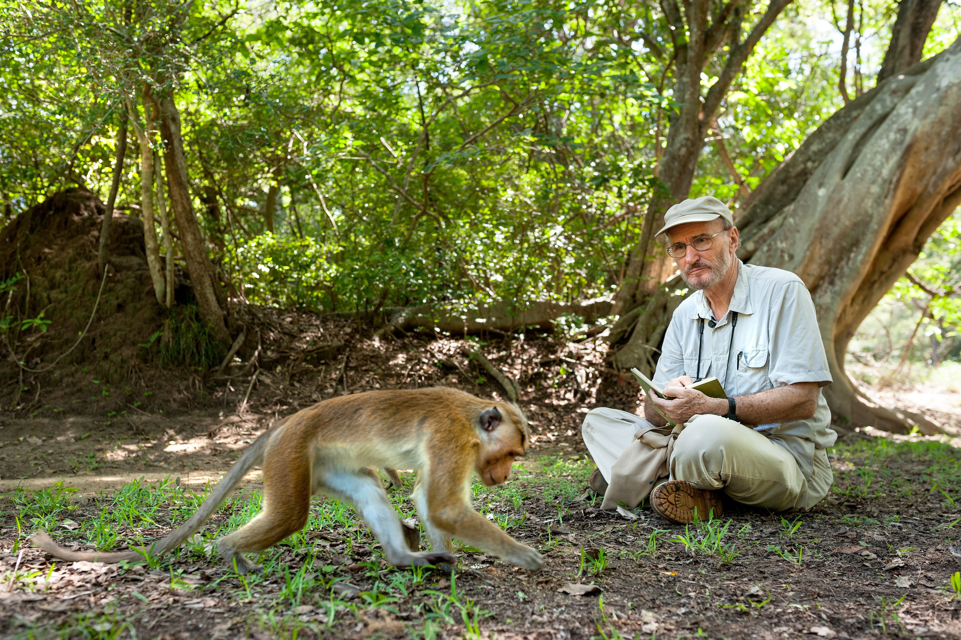 Wolfgang has been studying the macaque monkeys of Sri Lanka for nearly 50 years. His and Jane Goo...