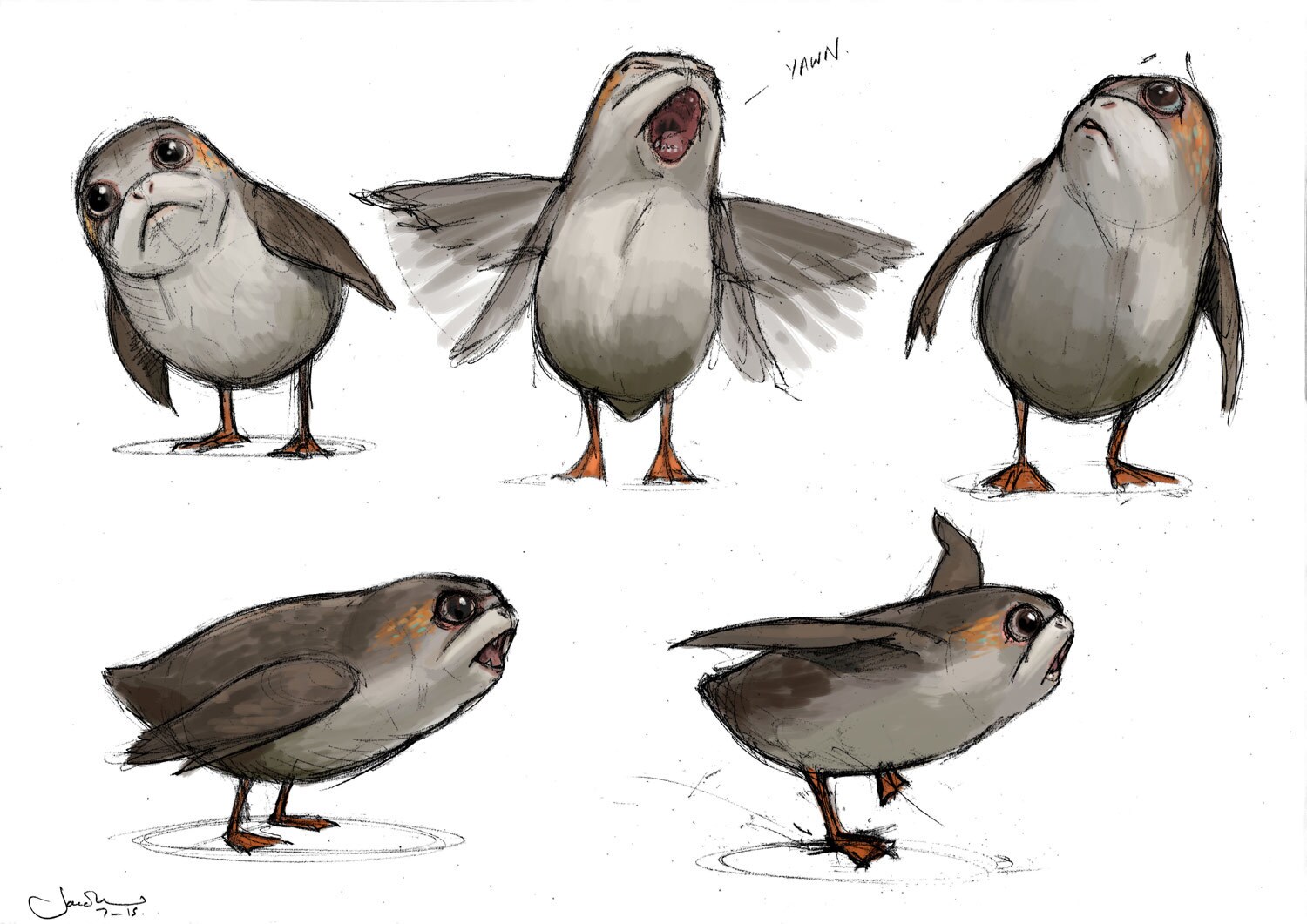 Concept art of porgs looking around and squawking.
