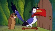 Wide Awake in Wonderland / Zazu's Off-By-One-Day