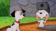 Dalmatian Vacation - Part 1 (Road Warriors)