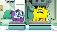 The Cat, The Alien and the Litter Box