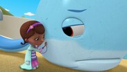 Pet Rescue: Wipeout Whale!