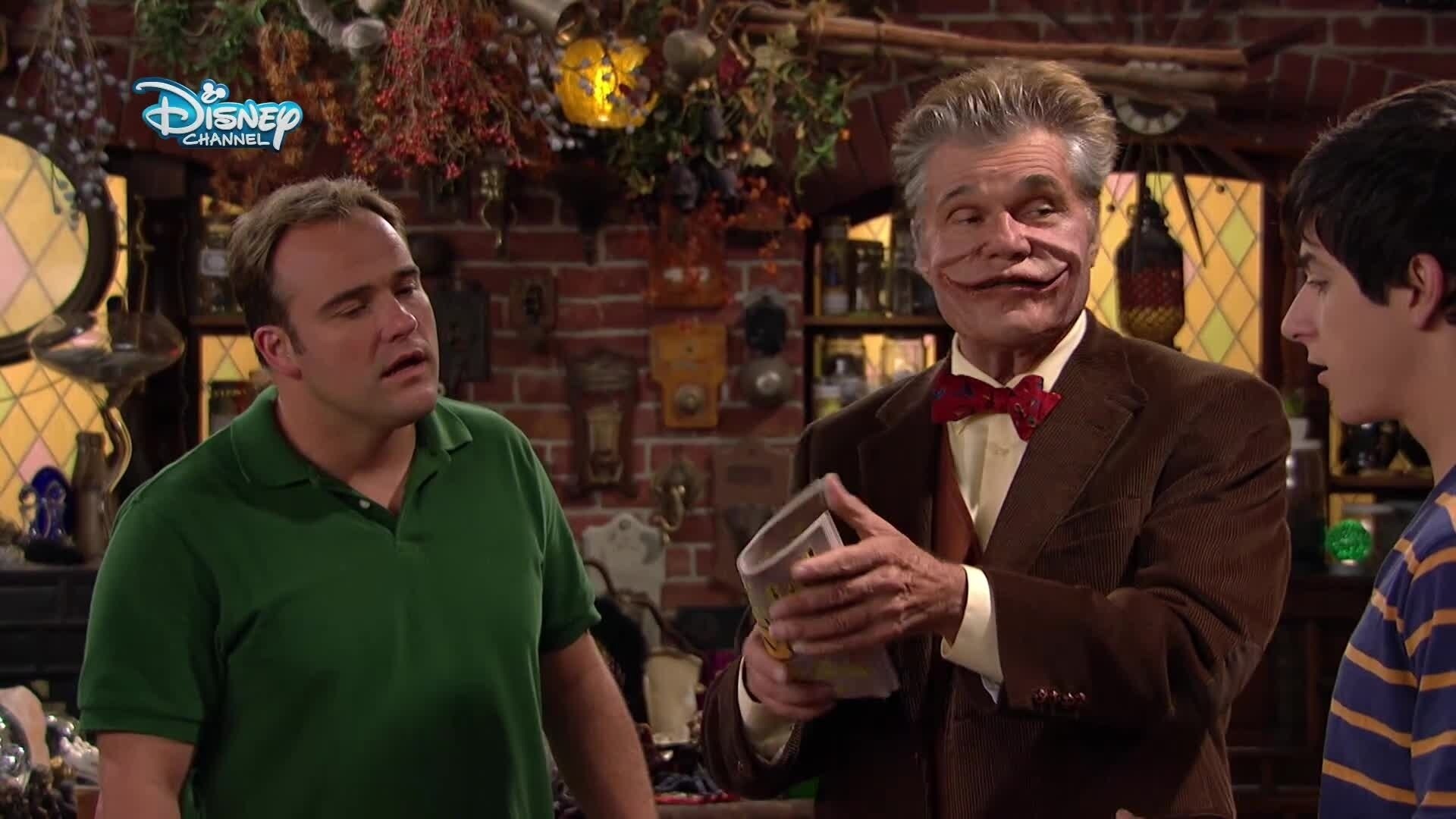 Die Zauberer vom Waverly Place Disney Channel Shows