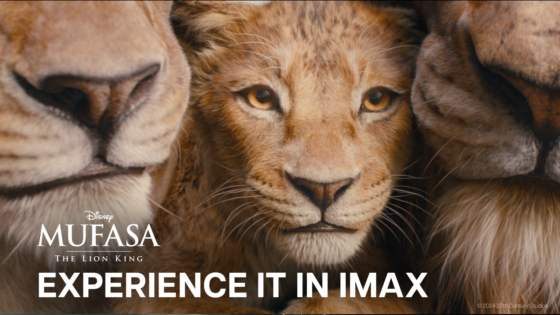 Mufasa: The Lion King | Experience It In IMAX | Only In Theaters December 20