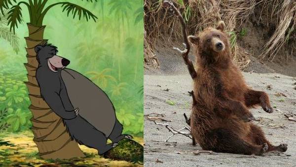 Bears Disney Movies