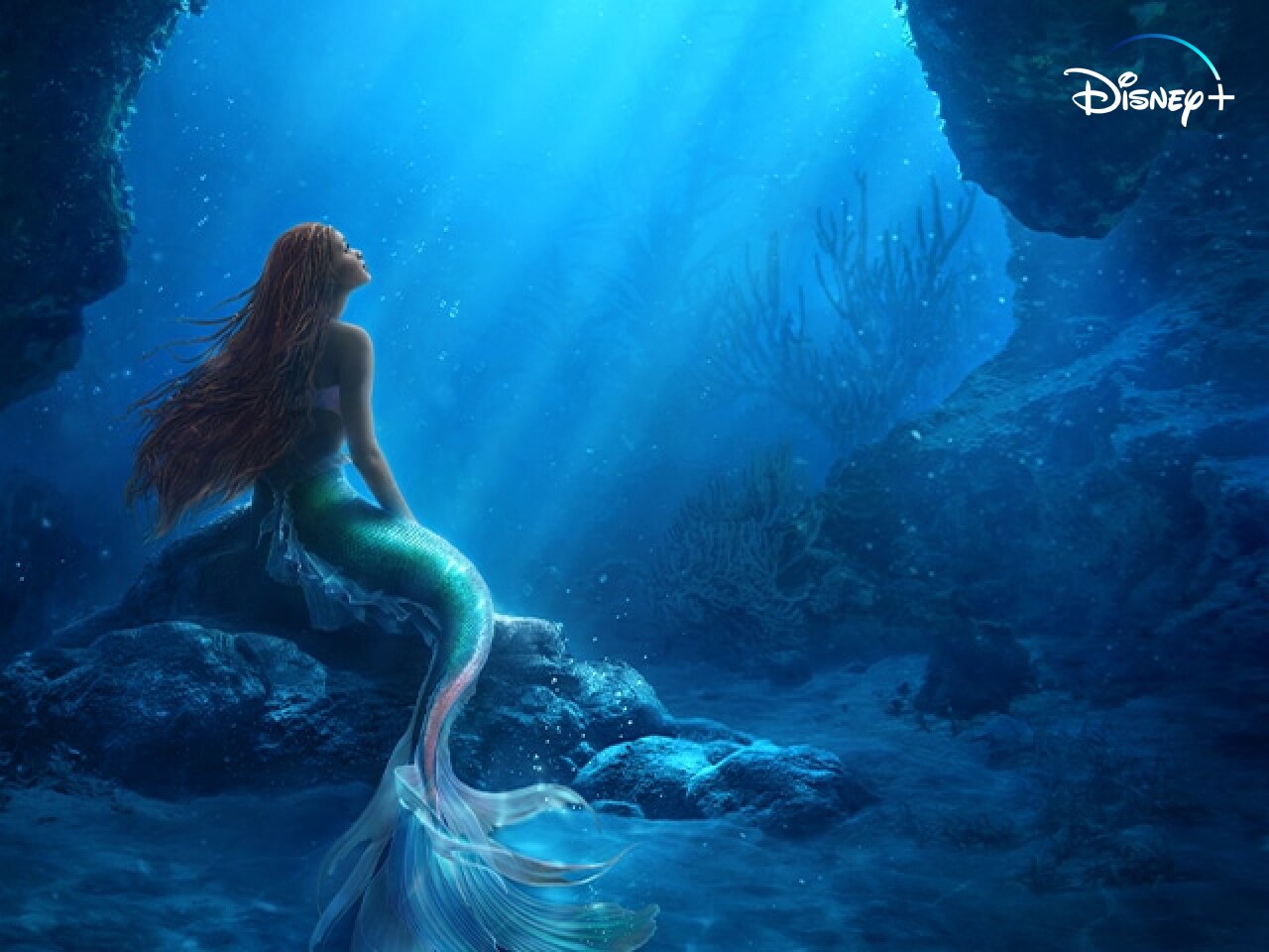 The Little Mermaid (2023) - Disney+, DVD, Blu-Ray & Digital Download