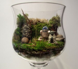 Dagobah Terrarium finished