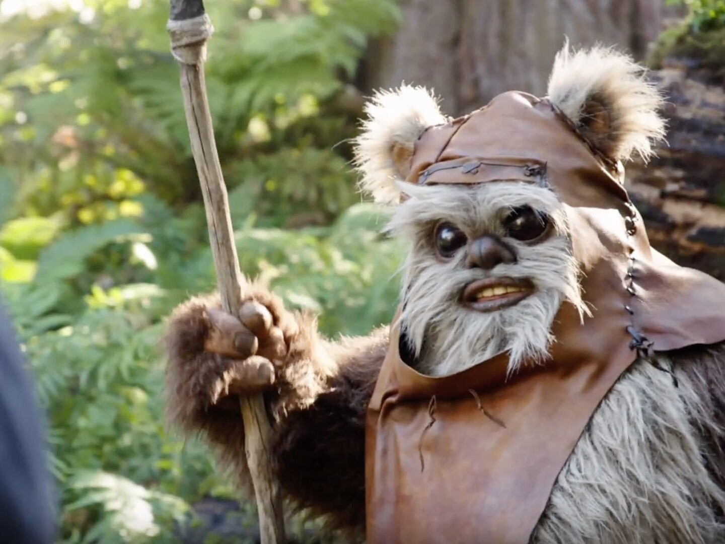 Exclusive: Star Wars: The Rise of Skywalker clip showcases Warwick Davis  and real-life son becoming Ewoks