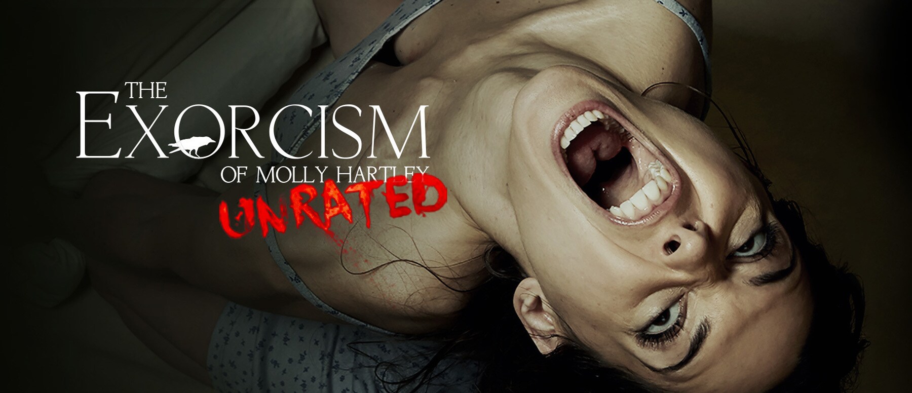 The Exorcism Of Molly Hartley Full Movie Download The Exorcism of Molly Hartley | 20th Century Studios