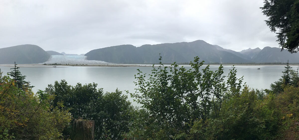 Taku Glacier view through trees on Disney Wonder Alaska Cruise Excursion