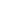 White Instagram icon