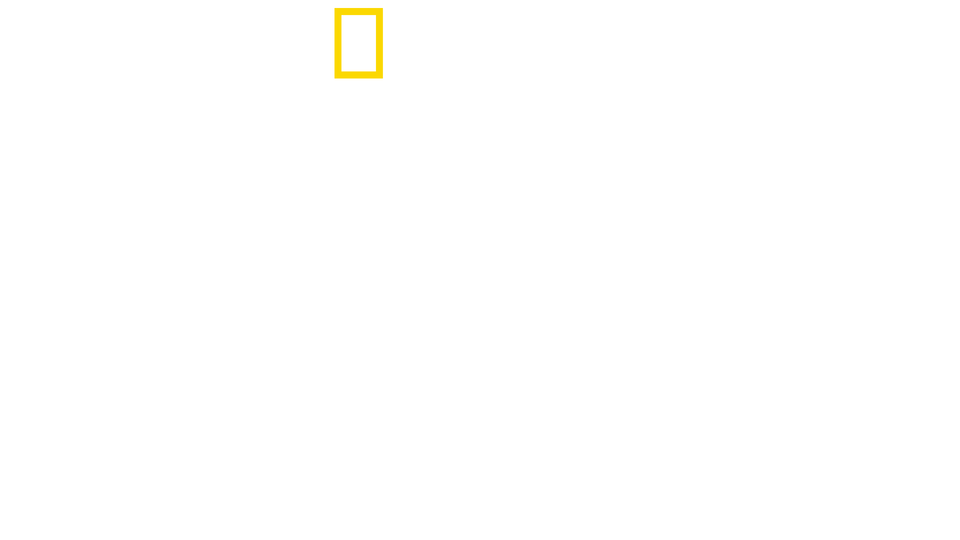 Animals Up Close with Bertie Gregory Logo