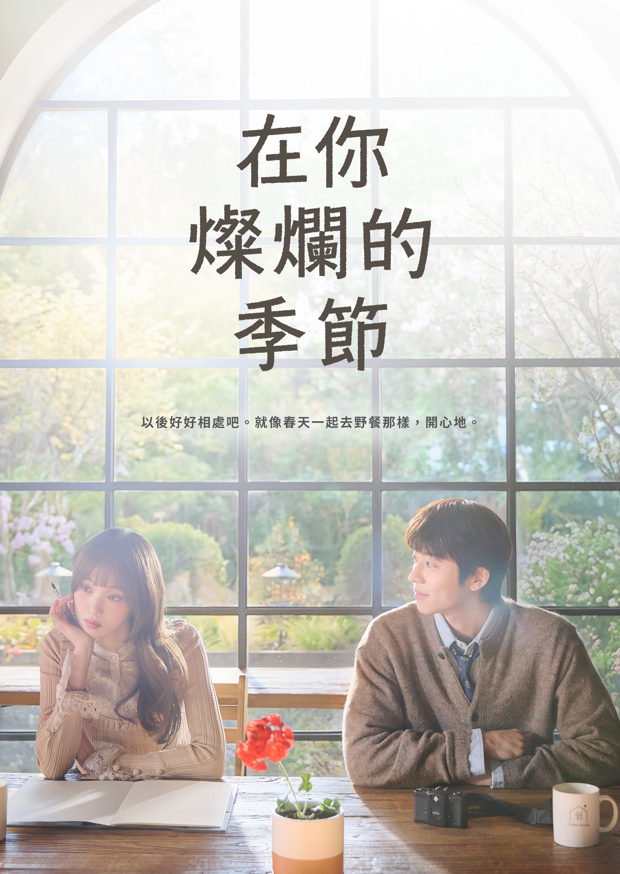 在你燦爛的季節