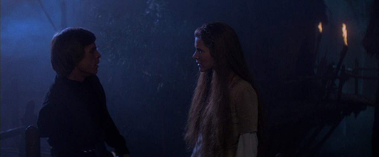 Luke and Leia talking on the Ewok Village bridge