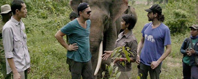 Mes de la Tierra: 5 documentales y series de National Geographic que te ...