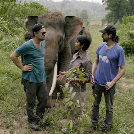Mes de la Tierra: 5 documentales y series de National Geographic que te ...