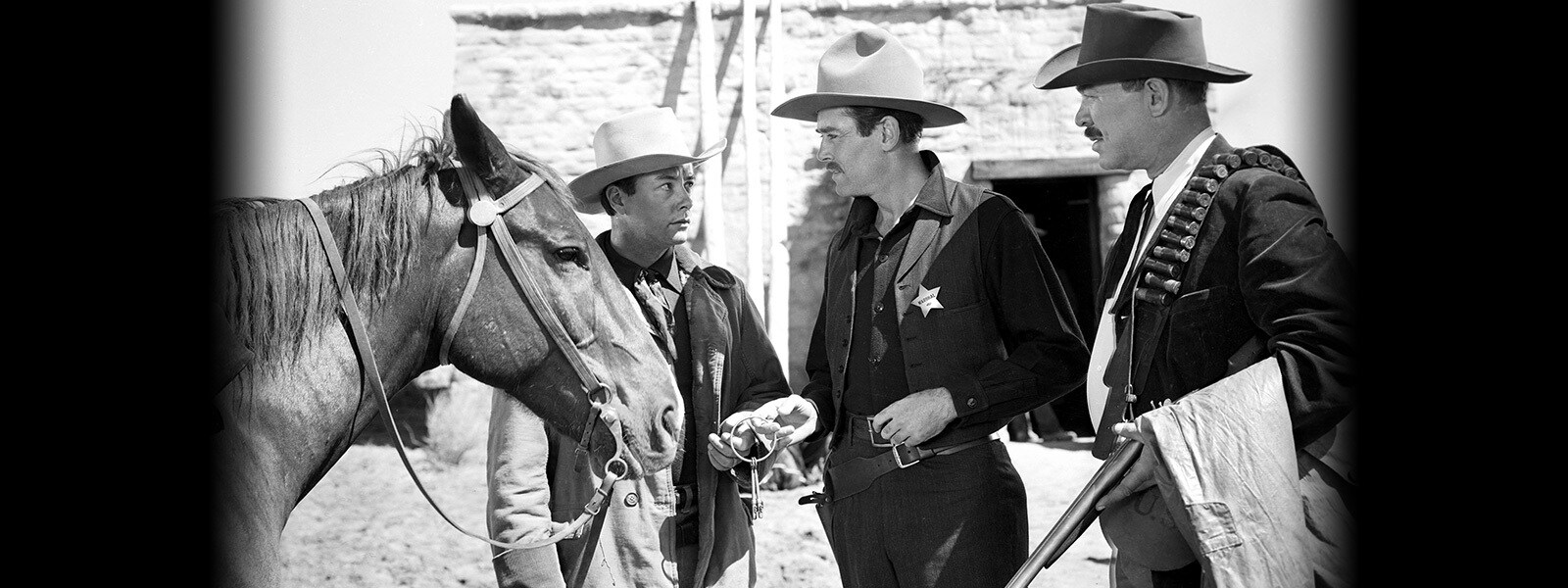 jp20cs_222_b_my-darling-