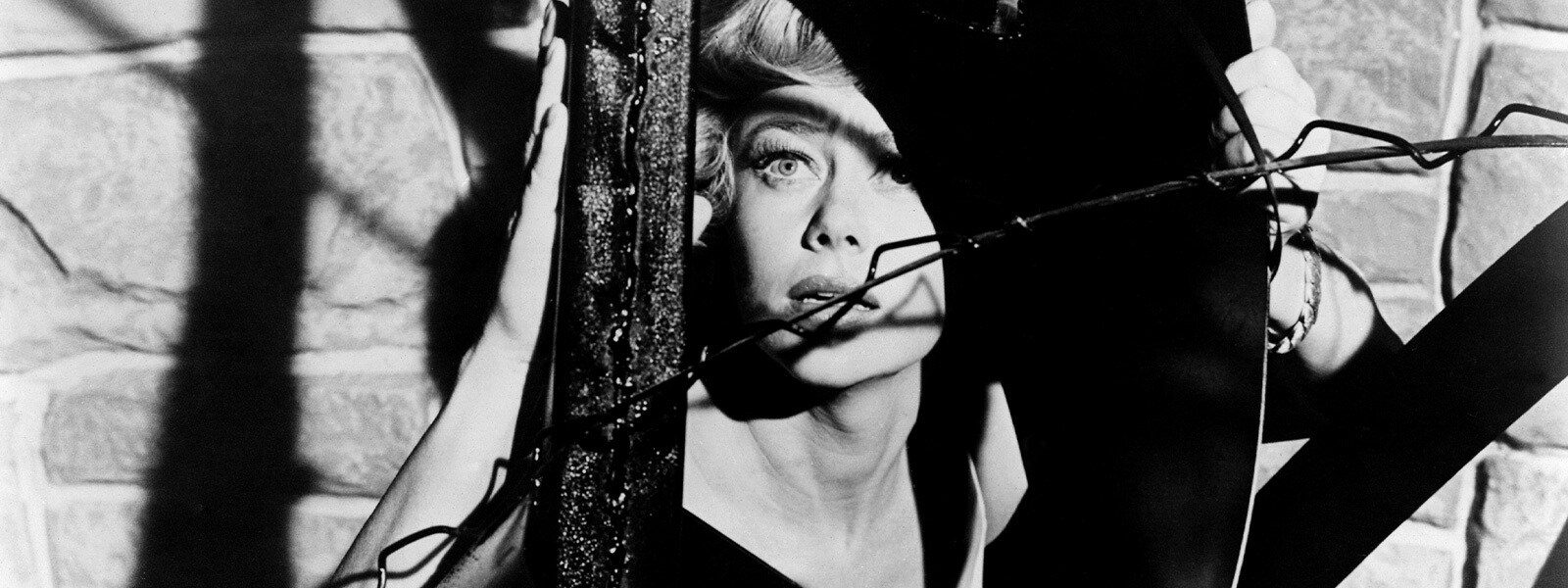 怪人カリガリ博士 映画　DVD Amazon.co.jp: 怪人カリガリ博士 [DVD] : ダン・オハーリヒー