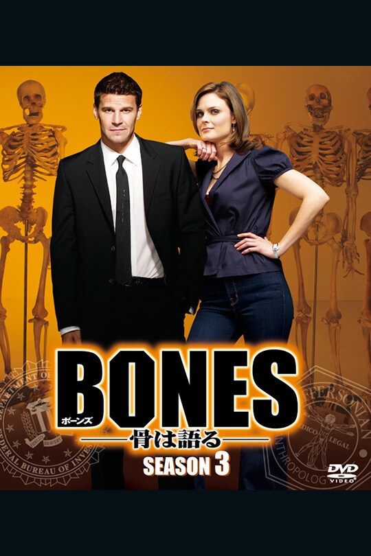 BONES ボーンズ 骨は語る シーズン8 全12枚 第1話～第24話 レンタル 