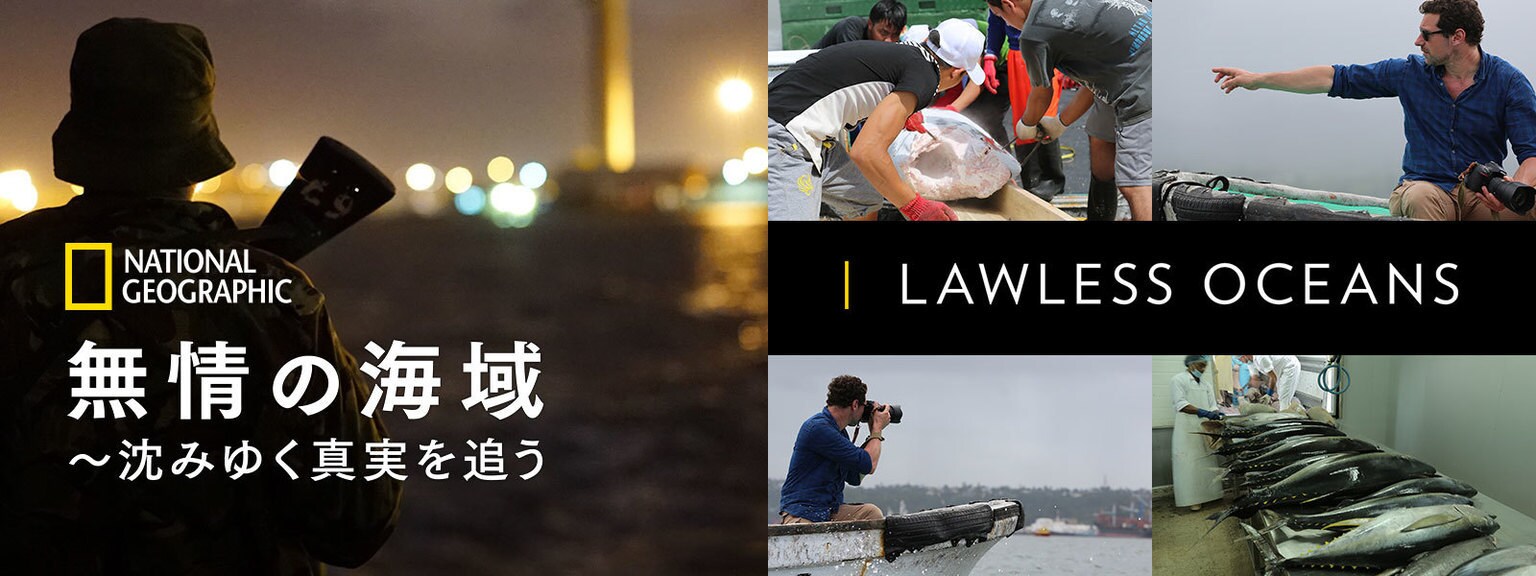 無情の海域 ～沈みゆく真実を追う