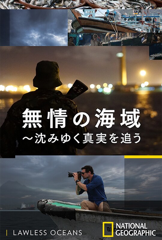 無情の海域 ～沈みゆく真実を追う