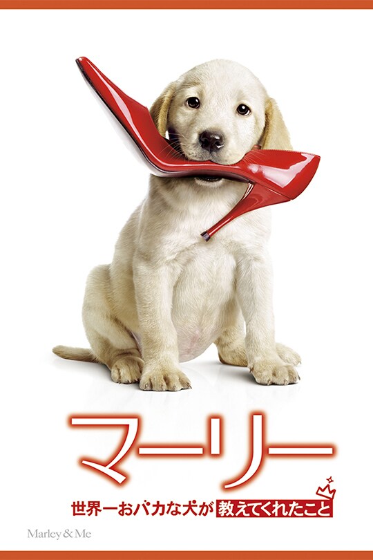 マーリー 世界一おバカな犬が教えてくれたこと