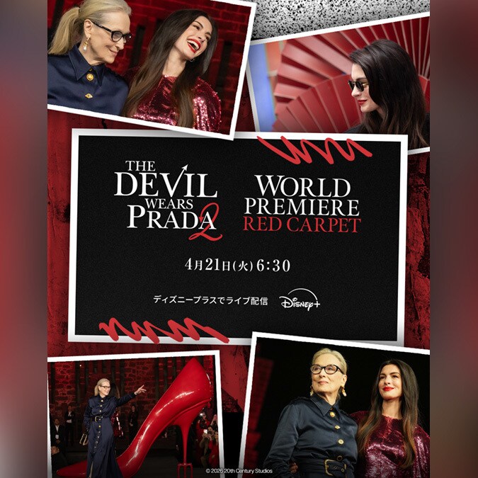 プラダを着た悪魔2】映画『プラダを着た悪魔2』が聖地・ニューヨーク
