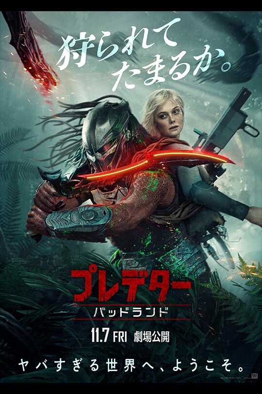 哀れなるものたち｜映画/ブルーレイ・デジタル配信｜20世紀