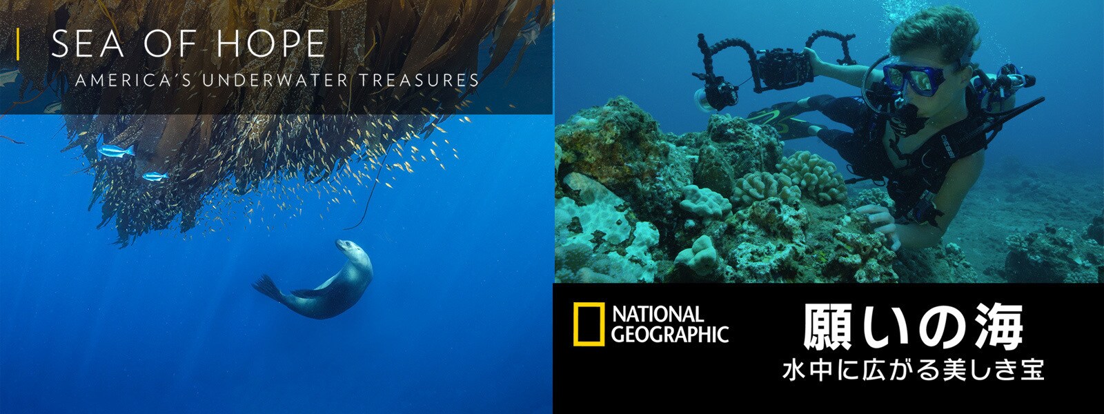 願いの海:水中に広がる美しき宝｜Sea of Hope: America's Underwater Treasures Hero Object 
