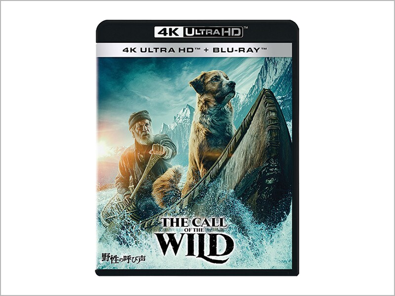 野性の呼び声 4K UHD
