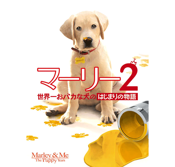 マーリー2　世界一おバカな犬のはじまりの物語［デジタル配信（購入／レンタル）］