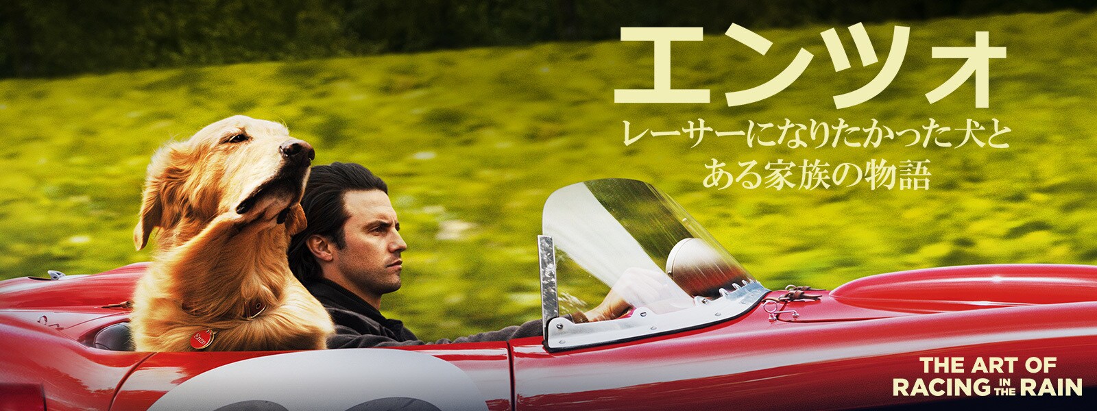 エンツォ レーサーになりたかった犬とある家族の物語|The Art of Racing in the Rain Hero Object