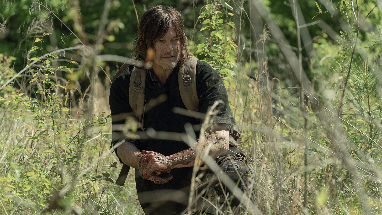 Daryl Dixon Daryl Dixon
