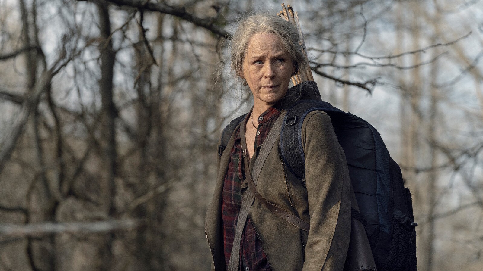 The Walking Dead The Walking Dead