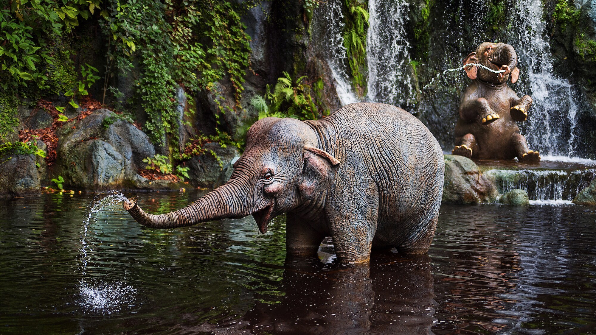 Image of an elephant from the Jungle Cruise ride.
