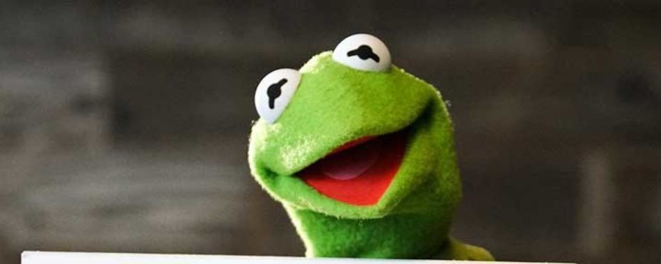 Here S How You Could Win A Karaoke Duet With Kermit The Frog Disney News