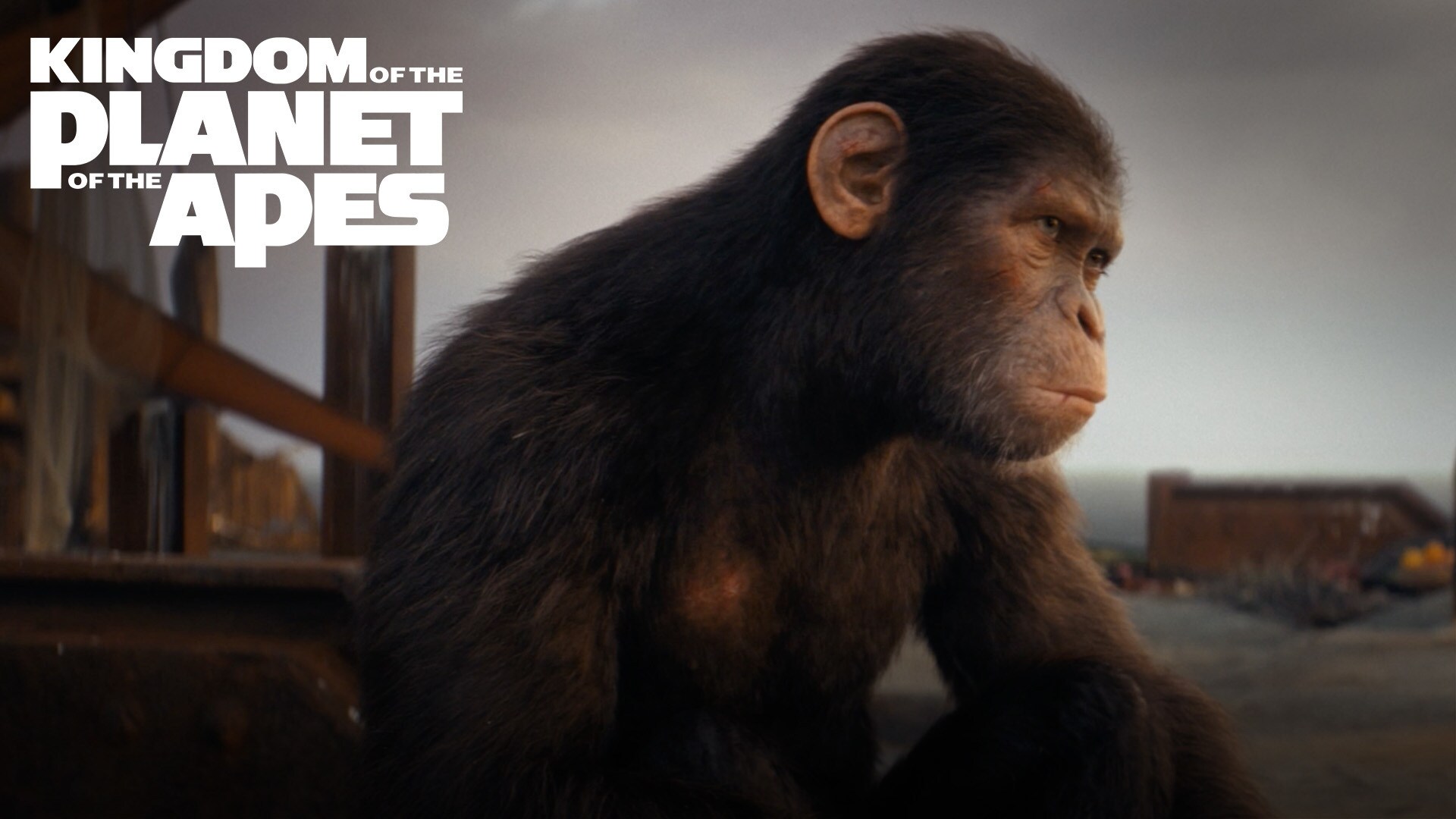 Kingdom of the Planet of the Apes | Bring Apes Home