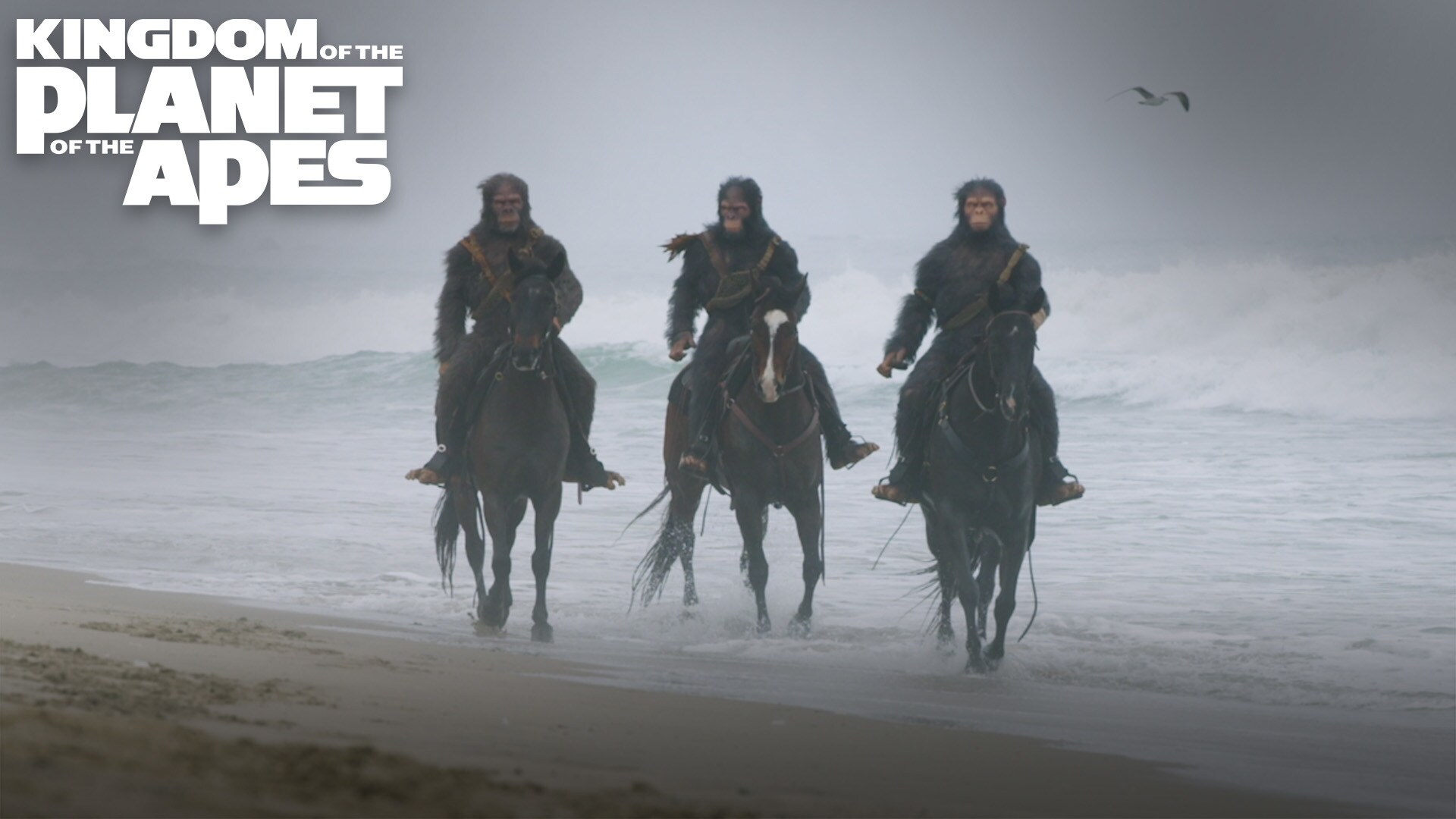 Kingdom of the Planet of the Apes | Apes On Horseback