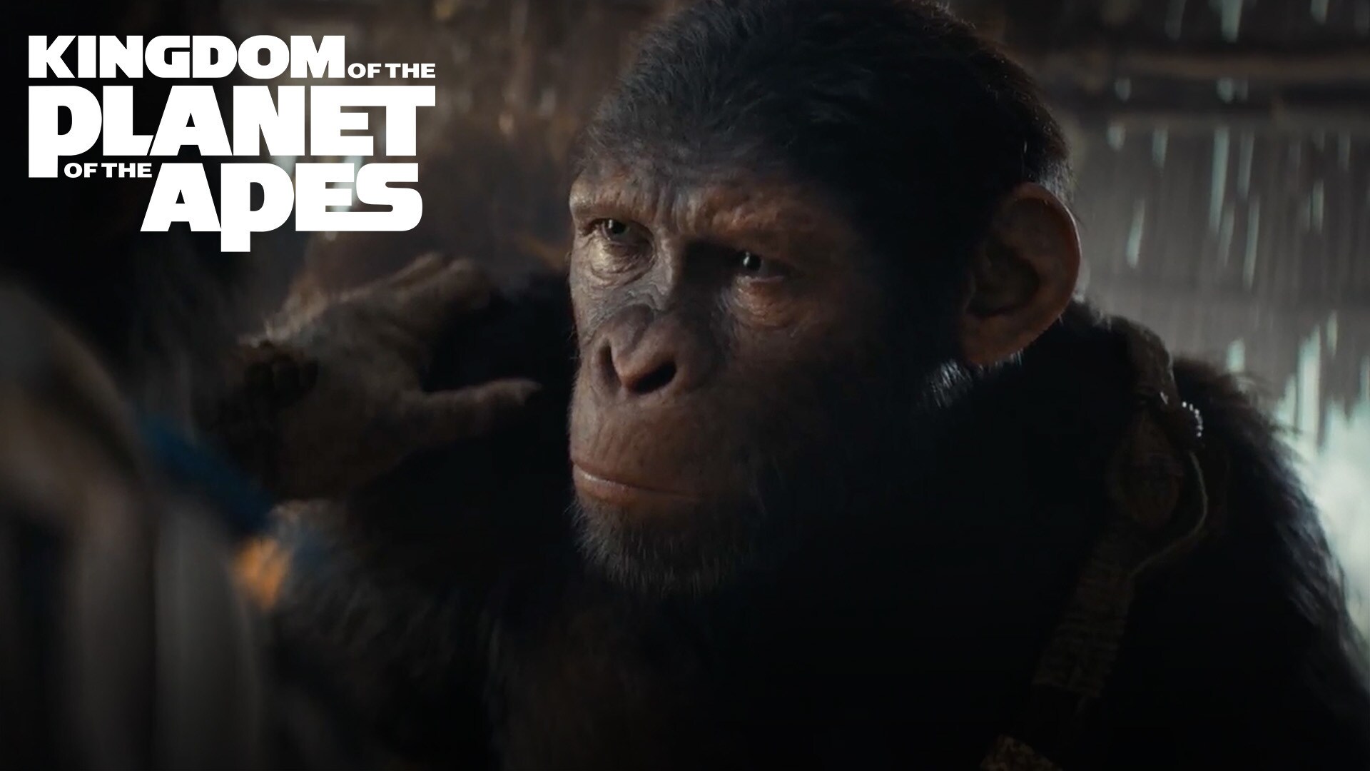Kingdom of the Planet of the Apes | Stream Only On Hulu August 2