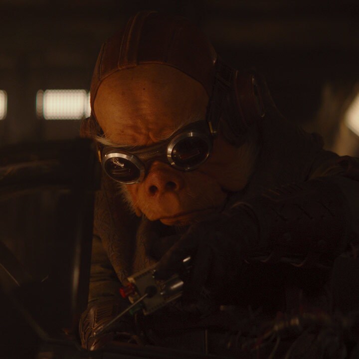 Quote - The Mandalorian - "I have a name. It is Kuiil."