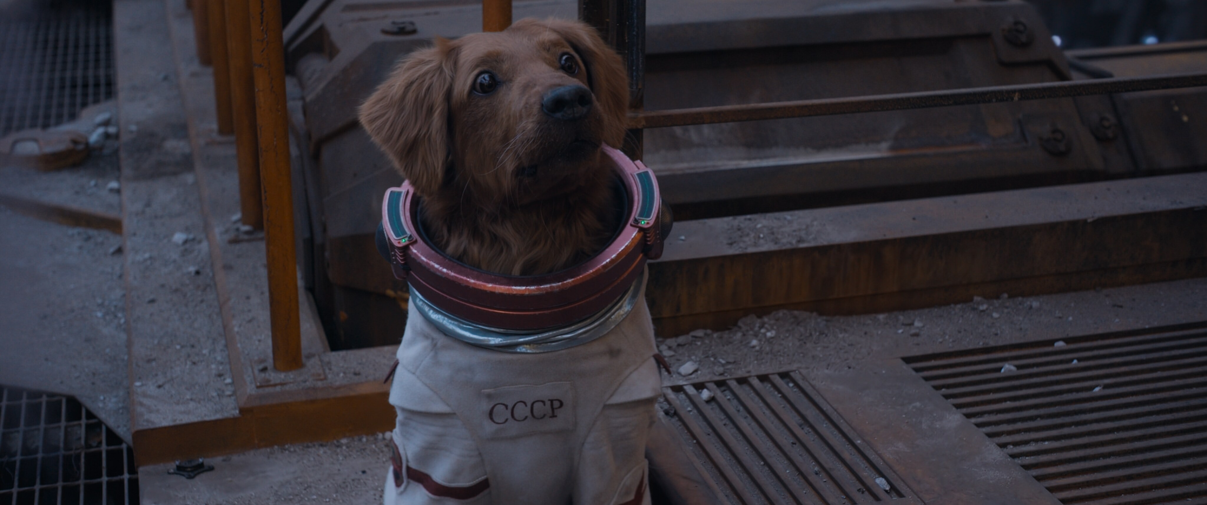 Cosmo the Spacedog (voiced by Maria Bakalova) looks up