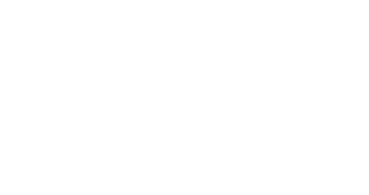 Lion Recovery Fund